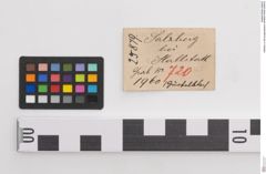Etiketten zu Bronzegürtelblech (NHMW-PRAE-025879)